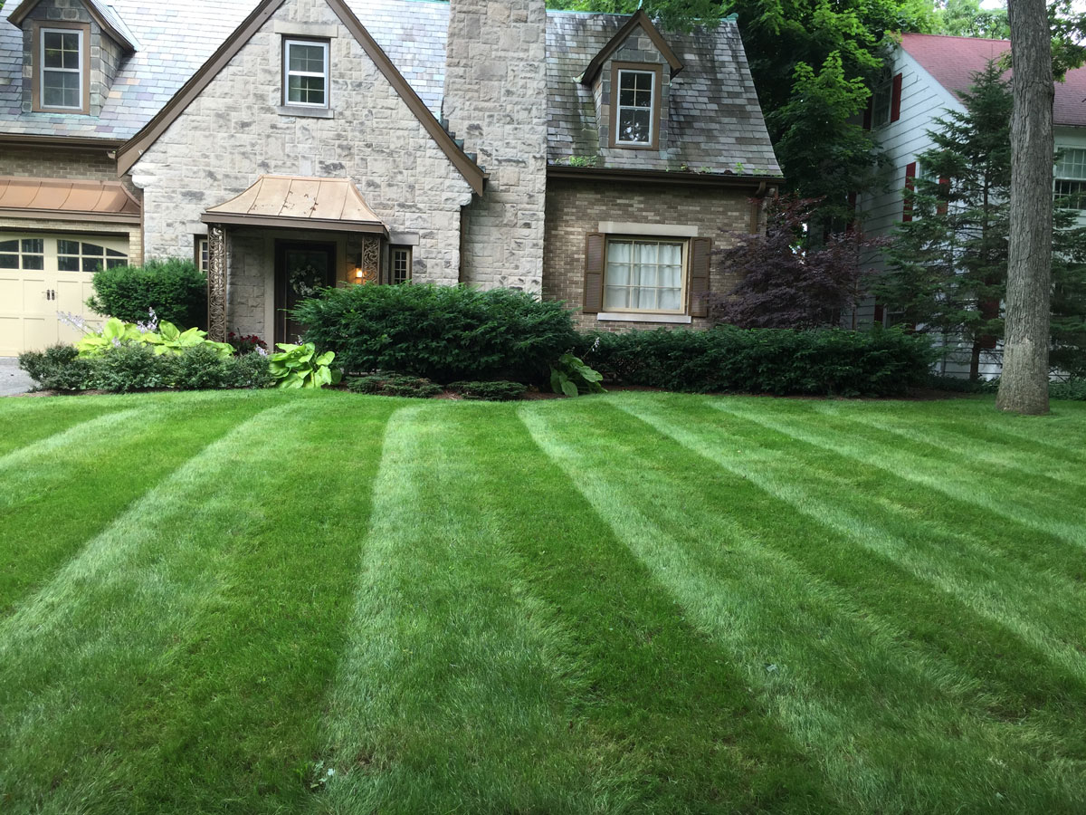 Professional And Dependable Lawn Care | Autos Post